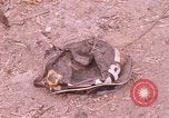 Standbild Krieg Wrack Saigon Vietnam, 1968, aus Sekunde 13 historischem Filmmaterial Videoclip 65675022564