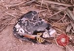 Standbild Krieg Wrack Saigon Vietnam, 1968, aus Sekunde 25 historischem Filmmaterial Videoclip 65675022564