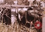 Standbild Vietcong Angriff Saigon Vietnam, 1968, aus Sekunde 38 historischem Filmmaterial Videoclip 65675022568