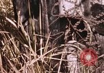 Standbild Vietcong Angriff Saigon Vietnam, 1968, aus Sekunde 46 historischem Filmmaterial Videoclip 65675022568