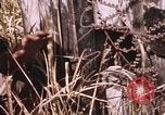 Standbild Vietcong Angriff Saigon Vietnam, 1968, aus Sekunde 47 historischem Filmmaterial Videoclip 65675022568