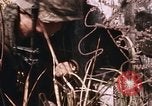 Standbild Vietcong Angriff Saigon Vietnam, 1968, aus Sekunde 49 historischem Filmmaterial Videoclip 65675022568