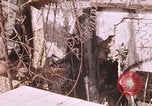 Standbild Vietcong Angriff Saigon Vietnam, 1968, aus Sekunde 56 historischem Filmmaterial Videoclip 65675022568