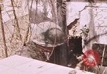 Standbild Vietcong Angriff Saigon Vietnam, 1968, aus Sekunde 58 historischem Filmmaterial Videoclip 65675022568