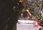 Standbild Vietcong Angriff Saigon Vietnam, 1968, aus Sekunde 17 historischem Filmmaterial Videoclip 65675022569