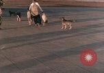 Image of Vietnamese refugees Vietnam Khe Sanh, 1968, second 27 stock footage video 65675022573