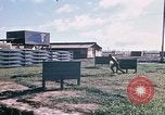 Image of United States 50th Infantry Vietnam, 1967, second 8 stock footage video 65675022579