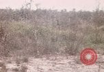 Image of United States 50th Infantry Vietnam, 1967, second 1 stock footage video 65675022581
