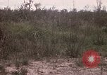 Image of United States 50th Infantry Vietnam, 1967, second 3 stock footage video 65675022581