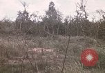 Image of United States 50th Infantry Vietnam, 1967, second 36 stock footage video 65675022581