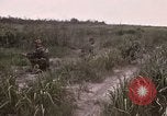 Image of United States 50th Infantry Vietnam, 1967, second 44 stock footage video 65675022581