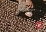 Standbild Vereinigten Staaten Marines Corps Khe Sanh Vietnam, 1968, aus Sekunde 62 historischem Filmmaterial Videoclip 65675022598