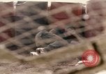 Standbild Uniter Staaten Marines Corps Khe Sanh Vietnam, 1968, aus Sekunde 56 historischem Filmmaterial Videoclip 65675022601
