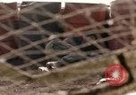 Standbild Uniter Staaten Marines Corps Khe Sanh Vietnam, 1968, aus Sekunde 62 historischem Filmmaterial Videoclip 65675022601