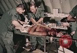 Image of wounded United States soldier Vietnam, 1969, second 39 stock footage video 65675022608