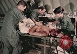 Image of wounded United States soldier Vietnam, 1969, second 41 stock footage video 65675022608