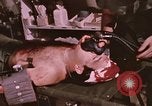 Image of wounded United States soldier Vietnam, 1969, second 62 stock footage video 65675022609