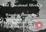 Image Hawaiian travailleurs d'Ananas reposant Hawaii USA, 1916, de la seconde 7 séquences d'archives historiques vidéo 65675022621