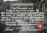 Image Hawaiian travailleurs d'Ananas reposant Hawaii USA, 1916, de la seconde 9 séquences d'archives historiques vidéo 65675022621