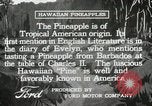 Image Hawaiian travailleurs d'Ananas reposant Hawaii USA, 1916, de la seconde 11 séquences d'archives historiques vidéo 65675022621
