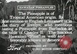 Image Hawaiian travailleurs d'Ananas reposant Hawaii USA, 1916, de la seconde 13 séquences d'archives historiques vidéo 65675022621