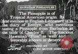 Image Hawaiian travailleurs d'Ananas reposant Hawaii USA, 1916, de la seconde 15 séquences d'archives historiques vidéo 65675022621
