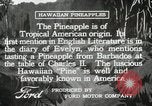 Image Hawaiian travailleurs d'Ananas reposant Hawaii USA, 1916, de la seconde 16 séquences d'archives historiques vidéo 65675022621