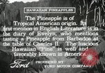 Image Hawaiian travailleurs d'Ananas reposant Hawaii USA, 1916, de la seconde 17 séquences d'archives historiques vidéo 65675022621