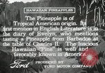 Image Hawaiian travailleurs d'Ananas reposant Hawaii USA, 1916, de la seconde 18 séquences d'archives historiques vidéo 65675022621