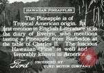 Image Hawaiian travailleurs d'Ananas reposant Hawaii USA, 1916, de la seconde 19 séquences d'archives historiques vidéo 65675022621