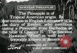 Image Hawaiian travailleurs d'Ananas reposant Hawaii USA, 1916, de la seconde 21 séquences d'archives historiques vidéo 65675022621