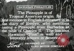 Image Hawaiian travailleurs d'Ananas reposant Hawaii USA, 1916, de la seconde 23 séquences d'archives historiques vidéo 65675022621