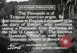 Image Hawaiian travailleurs d'Ananas reposant Hawaii USA, 1916, de la seconde 24 séquences d'archives historiques vidéo 65675022621