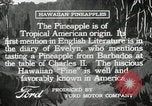 Image Hawaiian travailleurs d'Ananas reposant Hawaii USA, 1916, de la seconde 27 séquences d'archives historiques vidéo 65675022621