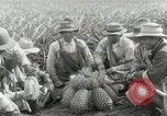 Image Hawaiian travailleurs d'Ananas reposant Hawaii USA, 1916, de la seconde 28 séquences d'archives historiques vidéo 65675022621