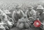 Image Hawaiian travailleurs d'Ananas reposant Hawaii USA, 1916, de la seconde 29 séquences d'archives historiques vidéo 65675022621