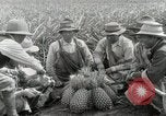 Image Hawaiian travailleurs d'Ananas reposant Hawaii USA, 1916, de la seconde 32 séquences d'archives historiques vidéo 65675022621