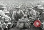 Image Hawaiian travailleurs d'Ananas reposant Hawaii USA, 1916, de la seconde 34 séquences d'archives historiques vidéo 65675022621