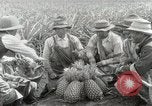 Image Hawaiian travailleurs d'Ananas reposant Hawaii USA, 1916, de la seconde 35 séquences d'archives historiques vidéo 65675022621