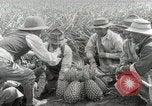 Image Hawaiian travailleurs d'Ananas reposant Hawaii USA, 1916, de la seconde 37 séquences d'archives historiques vidéo 65675022621