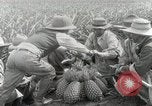 Image Hawaiian travailleurs d'Ananas reposant Hawaii USA, 1916, de la seconde 39 séquences d'archives historiques vidéo 65675022621