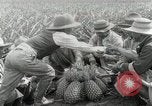 Image Hawaiian travailleurs d'Ananas reposant Hawaii USA, 1916, de la seconde 40 séquences d'archives historiques vidéo 65675022621