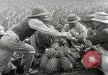 Image Hawaiian travailleurs d'Ananas reposant Hawaii USA, 1916, de la seconde 41 séquences d'archives historiques vidéo 65675022621