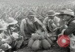 Image Hawaiian travailleurs d'Ananas reposant Hawaii USA, 1916, de la seconde 43 séquences d'archives historiques vidéo 65675022621