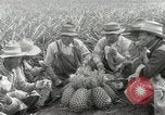Image Hawaiian travailleurs d'Ananas reposant Hawaii USA, 1916, de la seconde 45 séquences d'archives historiques vidéo 65675022621