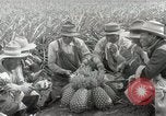 Image Hawaiian travailleurs d'Ananas reposant Hawaii USA, 1916, de la seconde 46 séquences d'archives historiques vidéo 65675022621