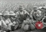 Image Hawaiian travailleurs d'Ananas reposant Hawaii USA, 1916, de la seconde 48 séquences d'archives historiques vidéo 65675022621