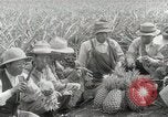 Image Hawaiian travailleurs d'Ananas reposant Hawaii USA, 1916, de la seconde 52 séquences d'archives historiques vidéo 65675022621