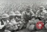 Image Hawaiian travailleurs d'Ananas reposant Hawaii USA, 1916, de la seconde 54 séquences d'archives historiques vidéo 65675022621