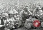 Image Hawaiian travailleurs d'Ananas reposant Hawaii USA, 1916, de la seconde 55 séquences d'archives historiques vidéo 65675022621